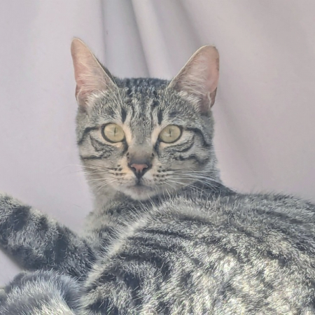 Photo de Princesse