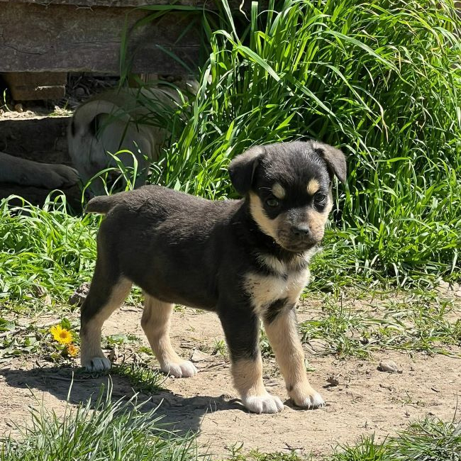 Photo de Maggie