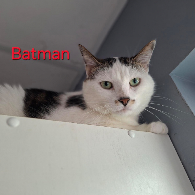Batman