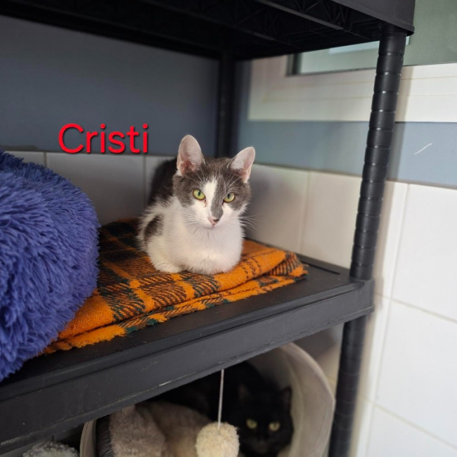 Photo de Cristi