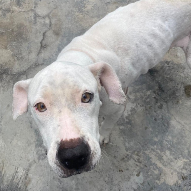 Photo de Athena