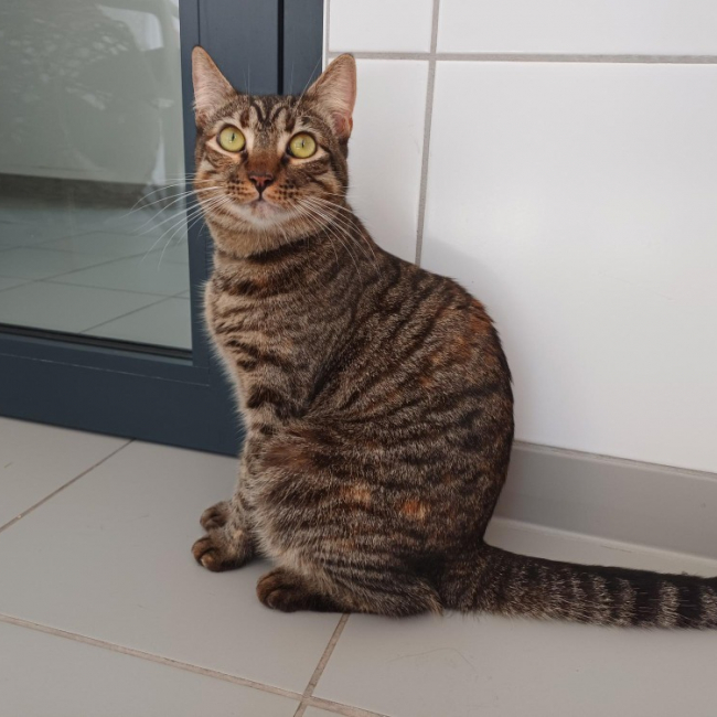 Photo de Nami