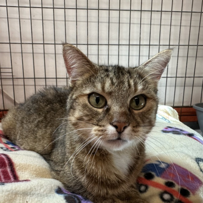 Photo de Elsa