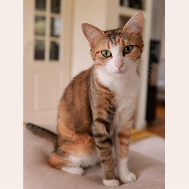 Photo de Luna