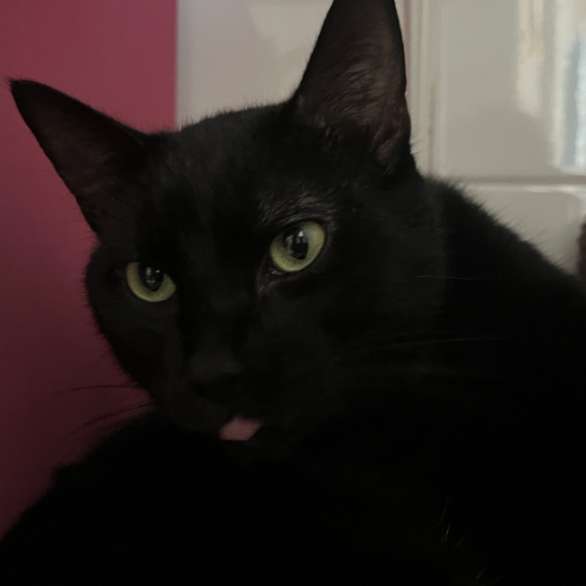 Banjo