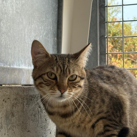 Photo de Lola