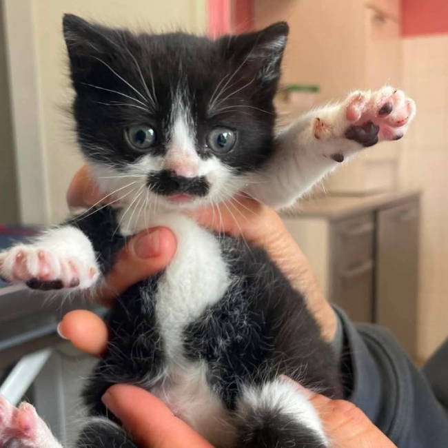 Photo de Caramel