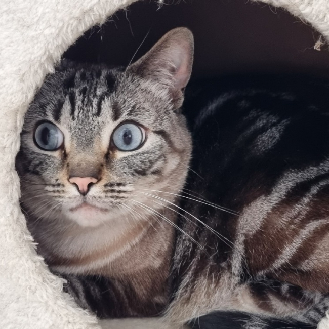 Photo de Candy