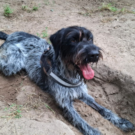 Photo de Athos