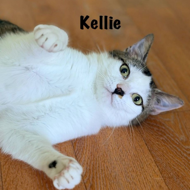 Photo de KELLIE