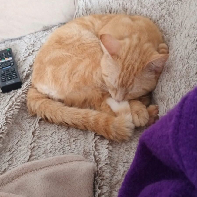 Photo de KENJI