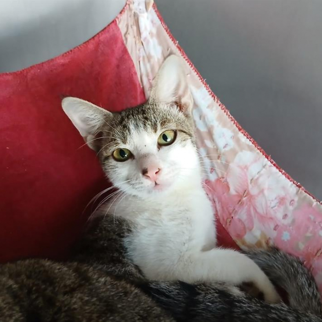 Kiki