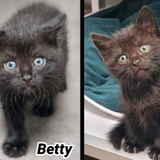 Photo de Betty
