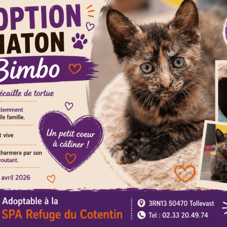 Photo de Bimbo