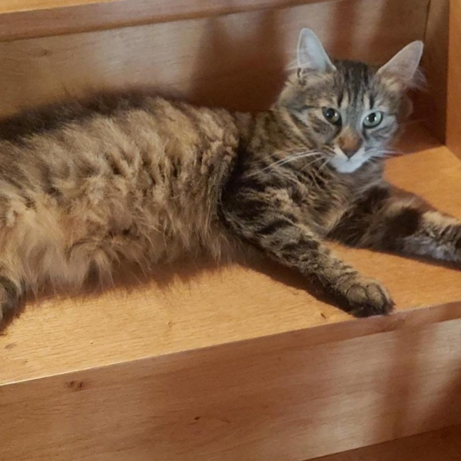 Photo de Tara