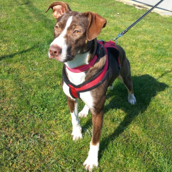 Photo de Kiki