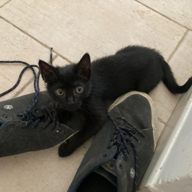 Photo de Lilya