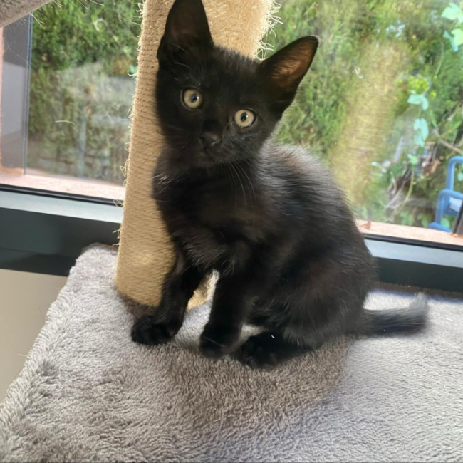 Photo de Bijou
