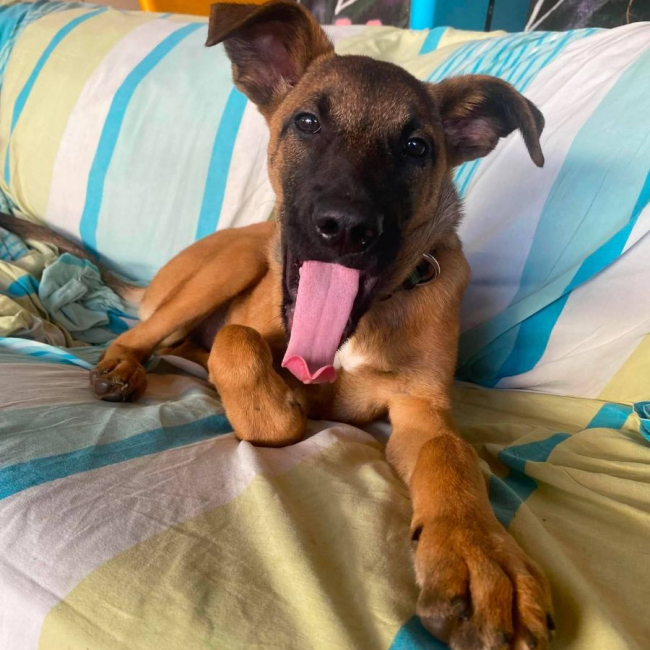 Photo de Mana