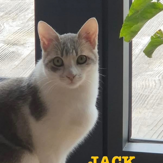 Photo de Jack