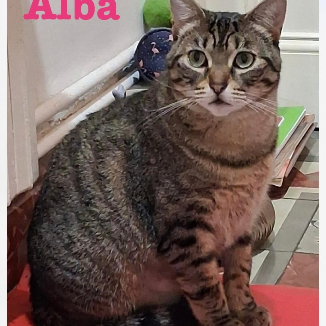 Photo de Alba