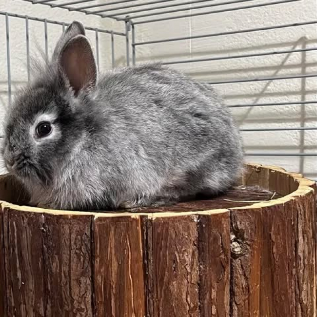 Photo de Kelowa