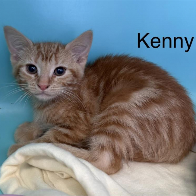 Kenny