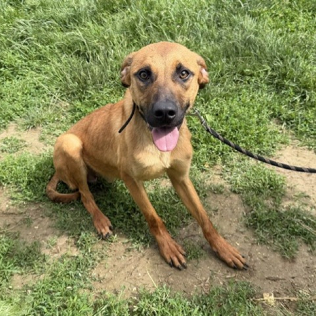 Photo de Zuko