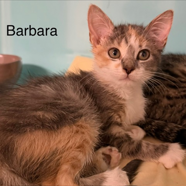 Barbara