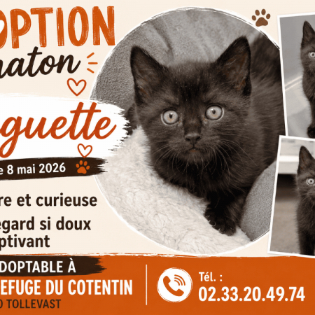 Photo de Muguette