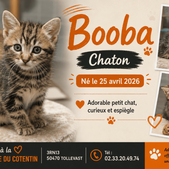 Photo de Booba réservé