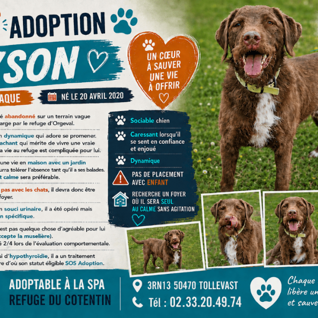 Photo de Tyson