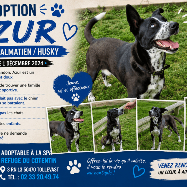 Photo de Azur