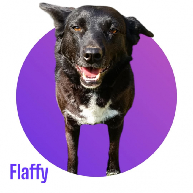 FLAFFY