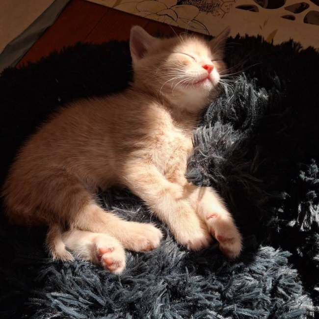 Photo de SAWYER