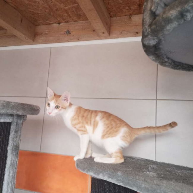 Photo de Eliott