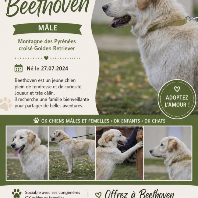 Photo de Beethoven