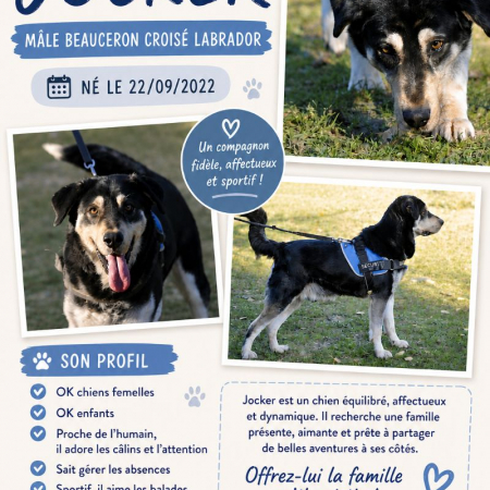 Photo de Joker