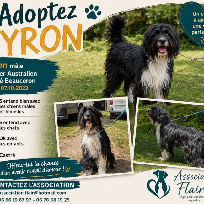 Photo de Tyron
