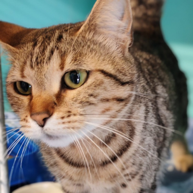 Photo de Aloha