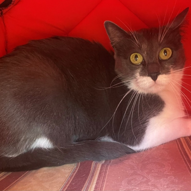 Photo de Suzi