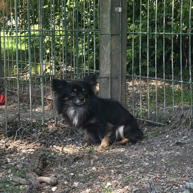 Photo de Viny