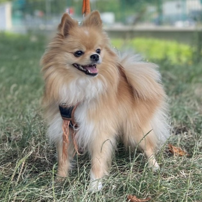 Photo de Bella