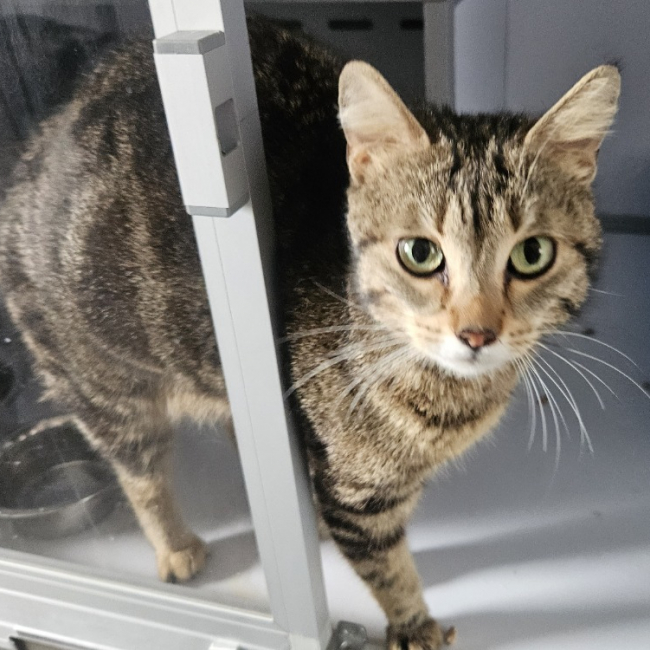 Photo de Calypso