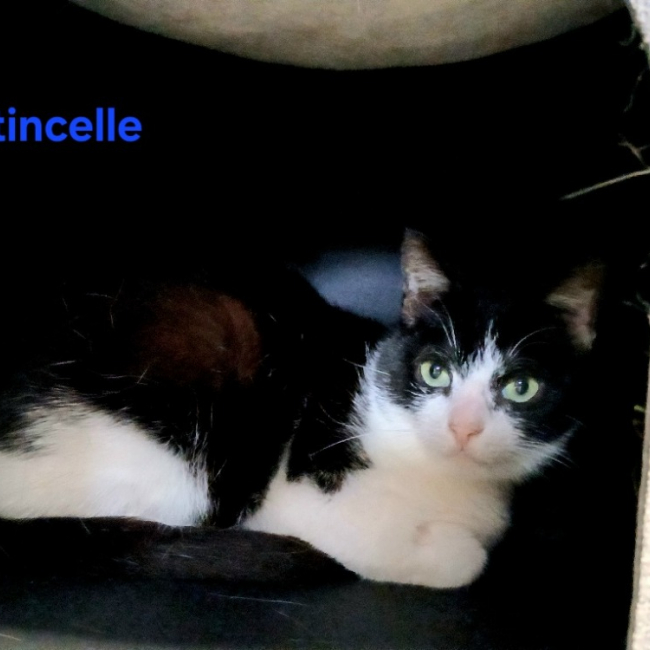 Etincelle