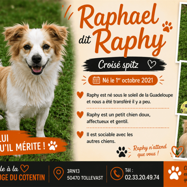 Photo de Raphael