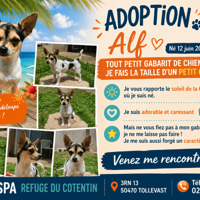Photo de Alf