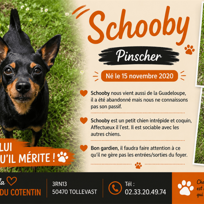 Schooby