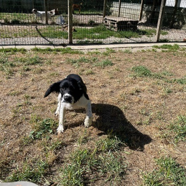 Photo de Zephyr