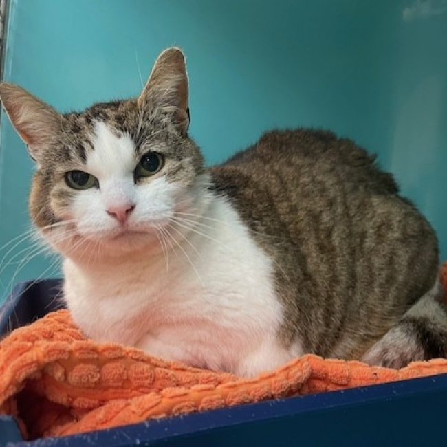 Mimi